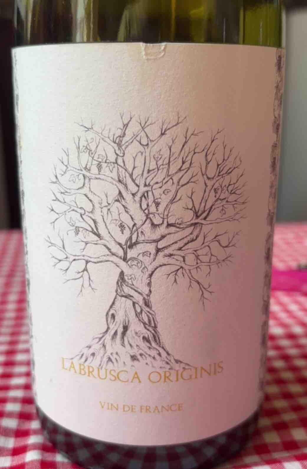 Labrusca Originis - Domaine des Bardes - emmanuel-tracol -2024