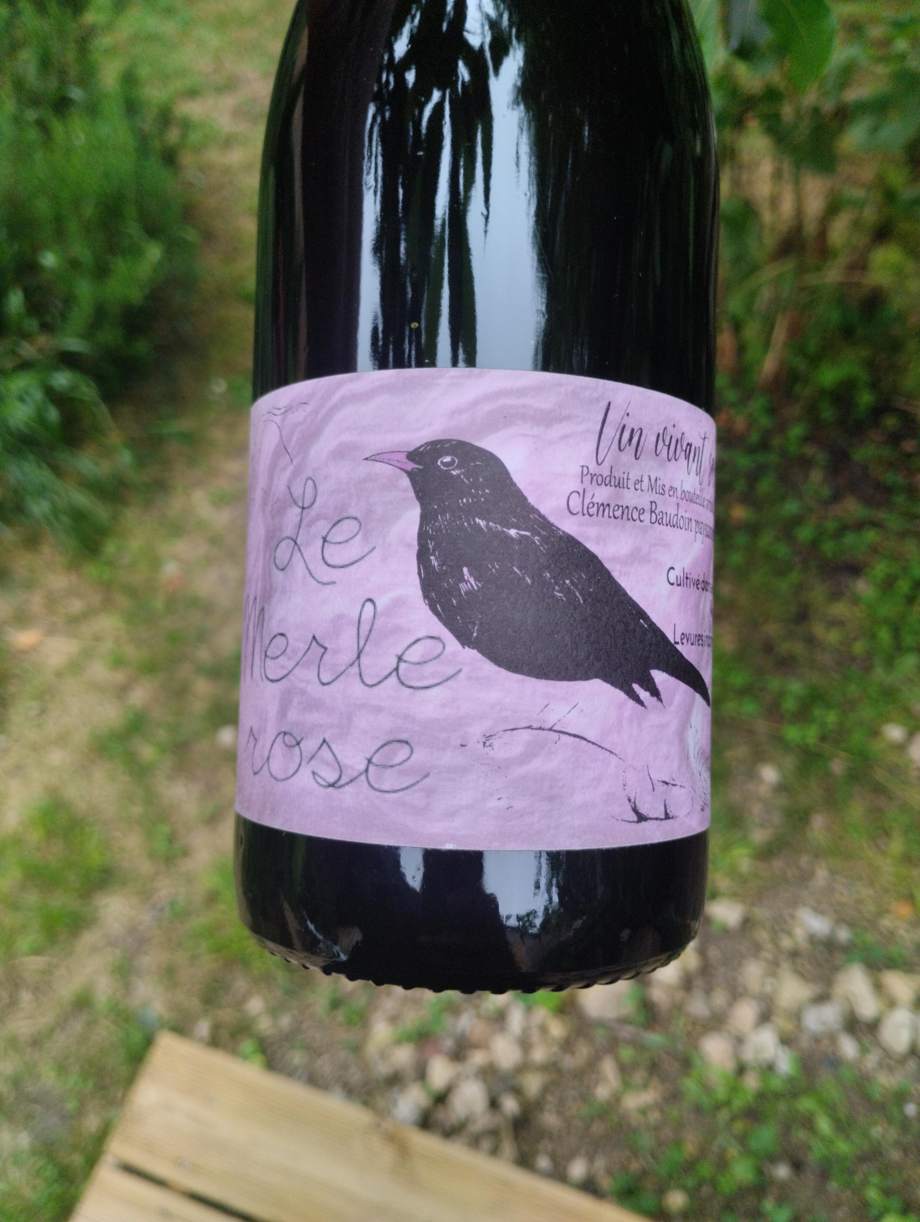 Le Merle Rose - Marc Sanchez Toha - Le Chant des Cigales - marc-sanchez-toha-clemence-baudoin -2022