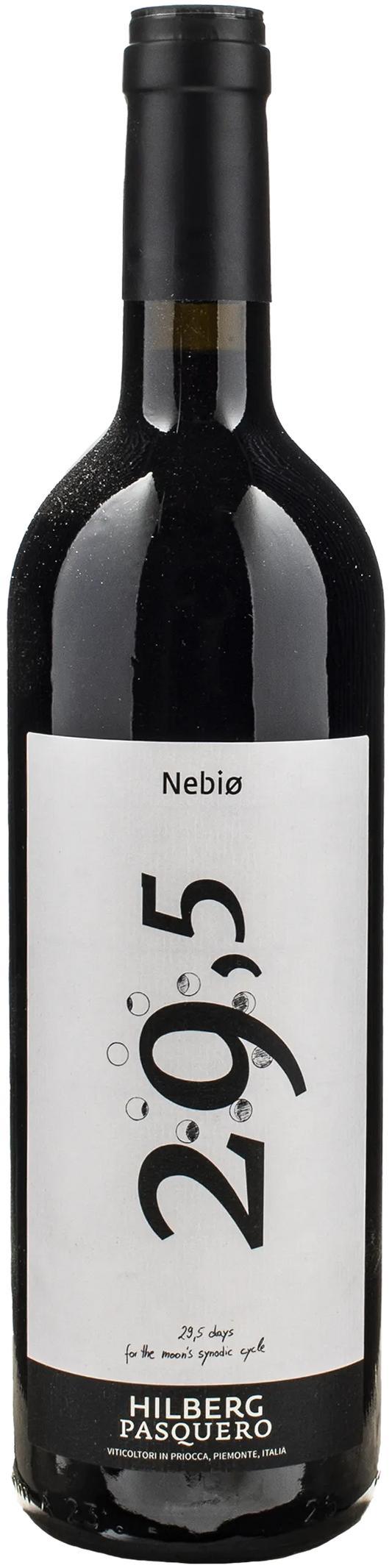 Nebio 29.5 - Hilberg Pasquero - annette-hilberg-michele-pasquero -2021