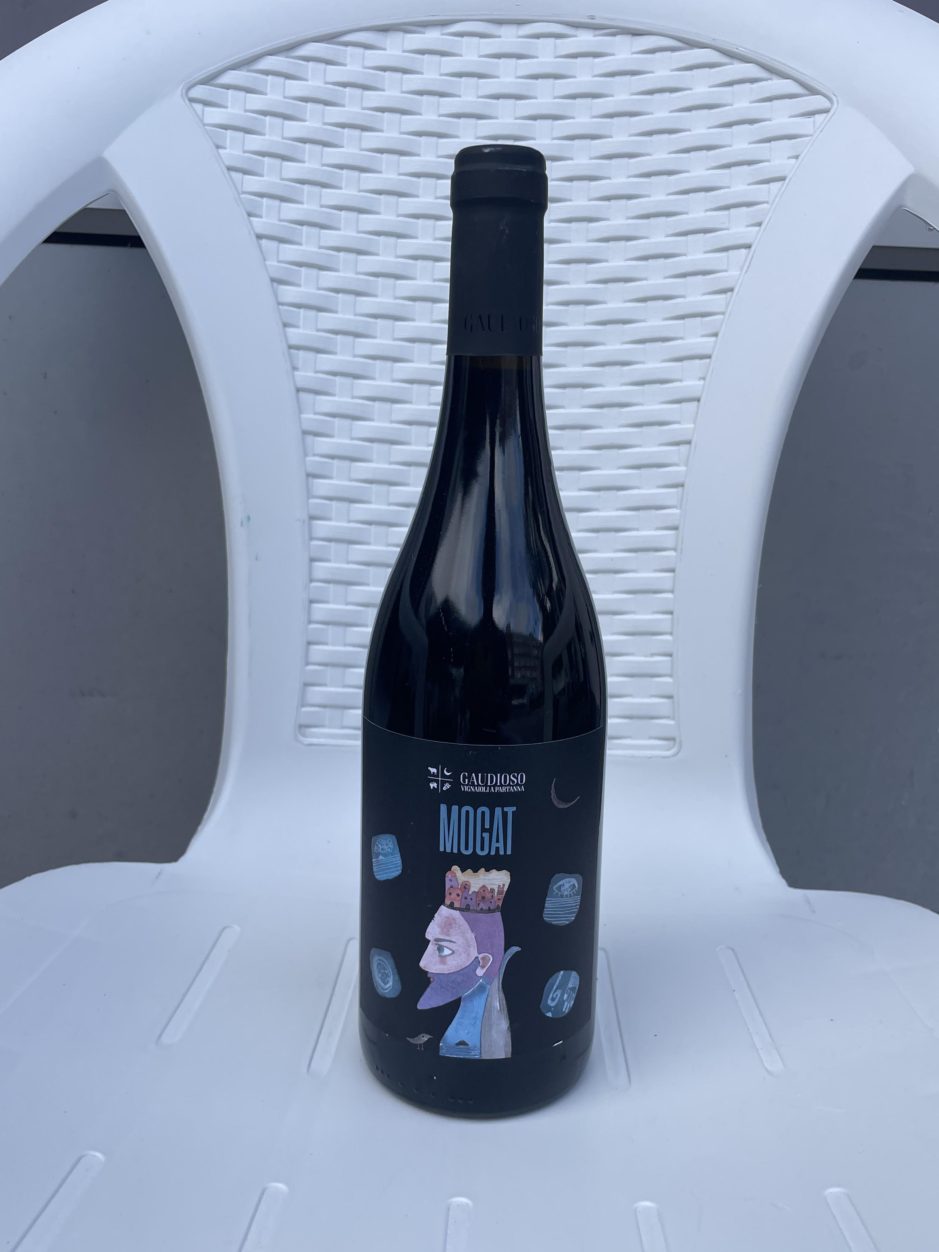 Mogat - Azienda Agricola Gaudioso - antonio-rosa-gaudioso -2020