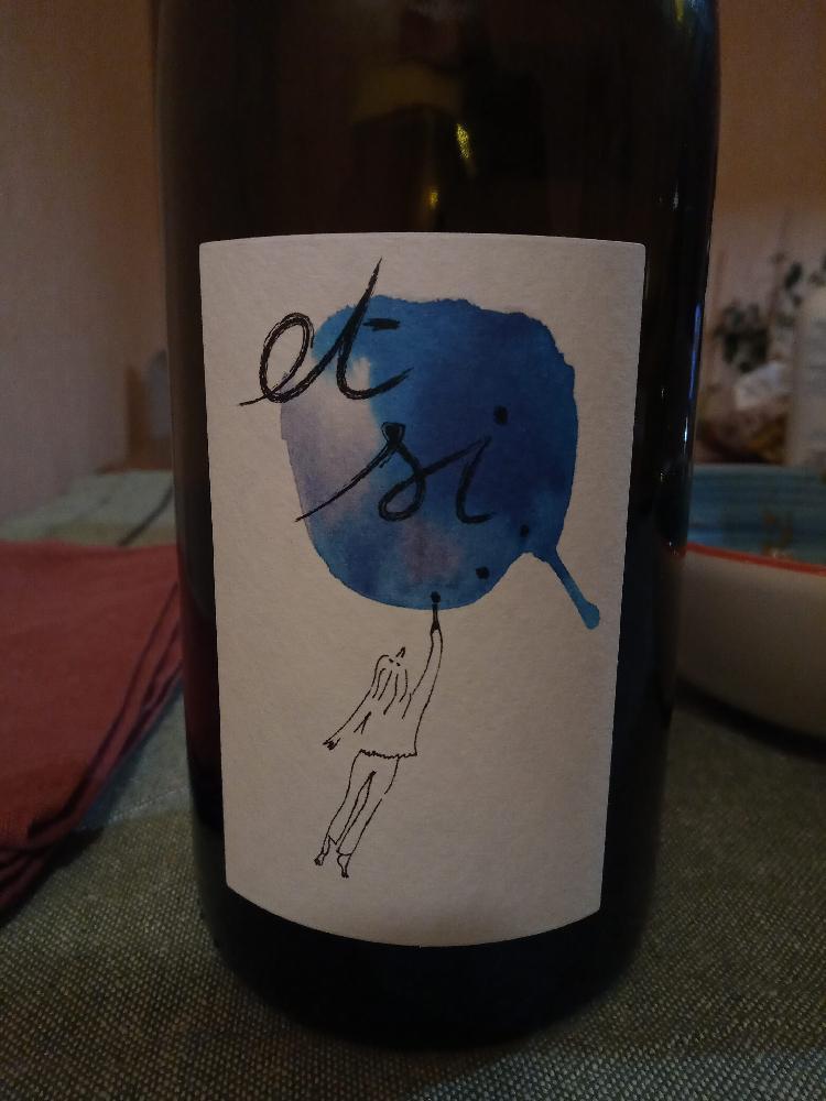 Et si... - Perrault-Jadaud - tanguy-perrault-et-anne-cecile-jadaud -2019