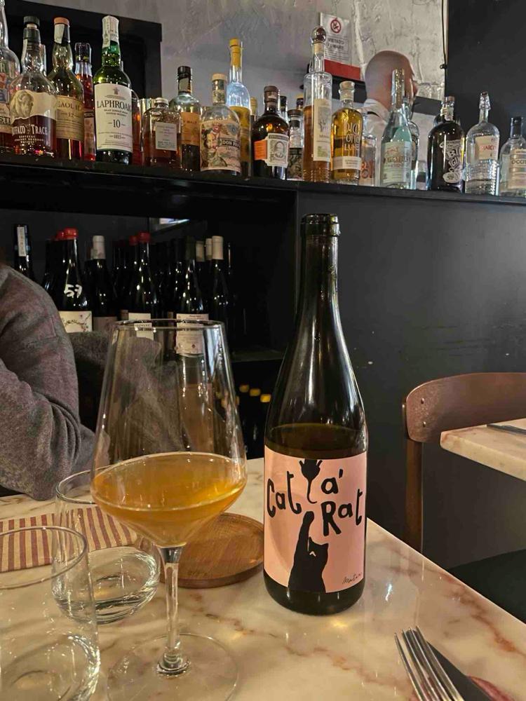 Cat a rat - Azienda Agricola Gaudioso - antonio-rosa-gaudioso 