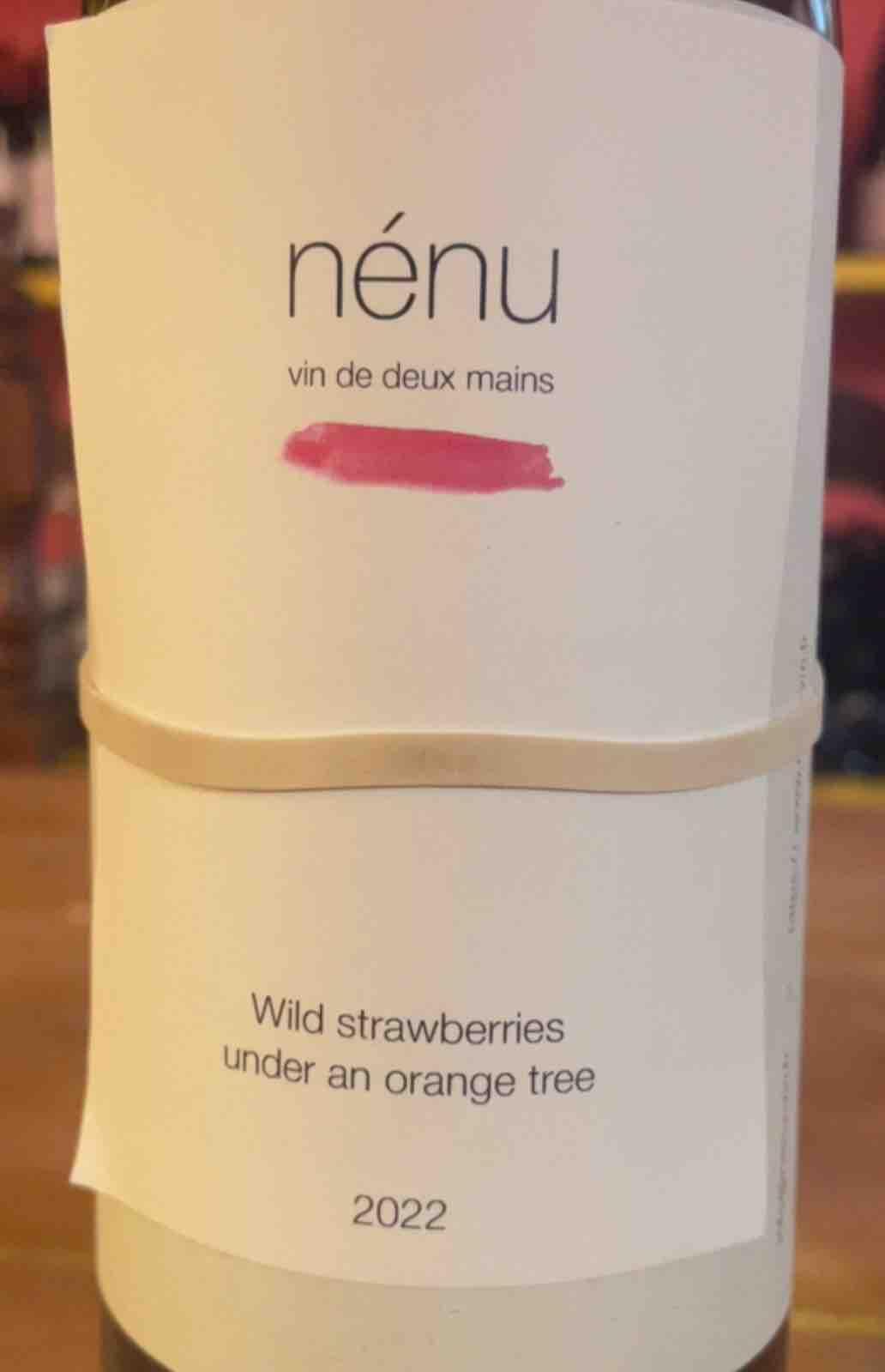 Wild strawberries under an orange tree - Nenu - rasmus-aamand-olesen -2022