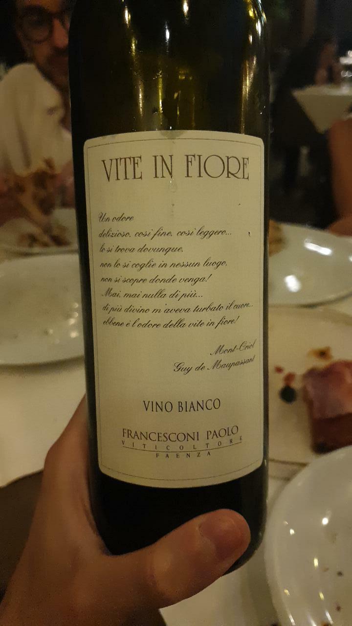 Vite in fiore - Paolo Francesconi - paolo-francesconi 