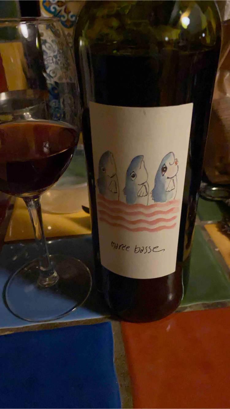 Marée Basse - Les cigales dans la fourmilière - julie-brosselin-et-ivo-ferreira 