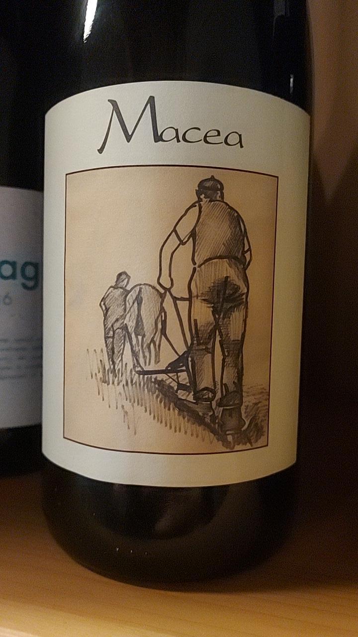 Macea - Azienda Agricola Macea - cipriano-antonio-barsanti -2021