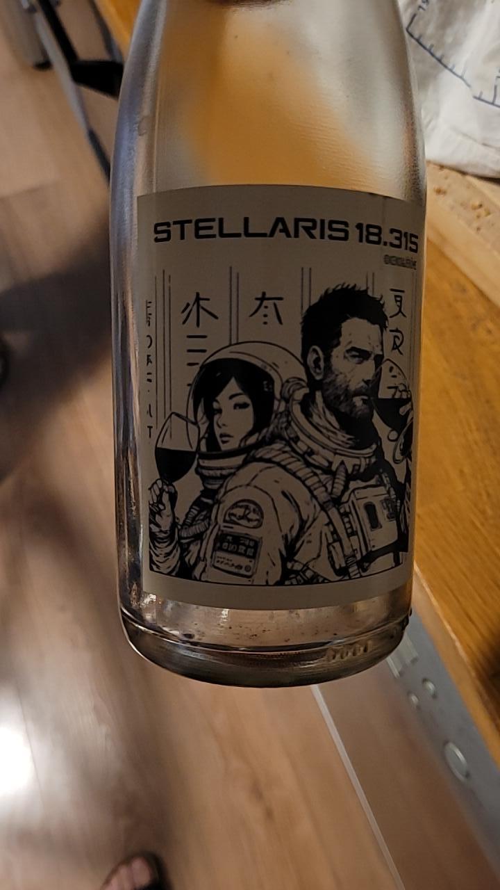 Stellaris 18 315 - Keiko & jérôme - keiko-araki-et-jerome-deleuze -2023