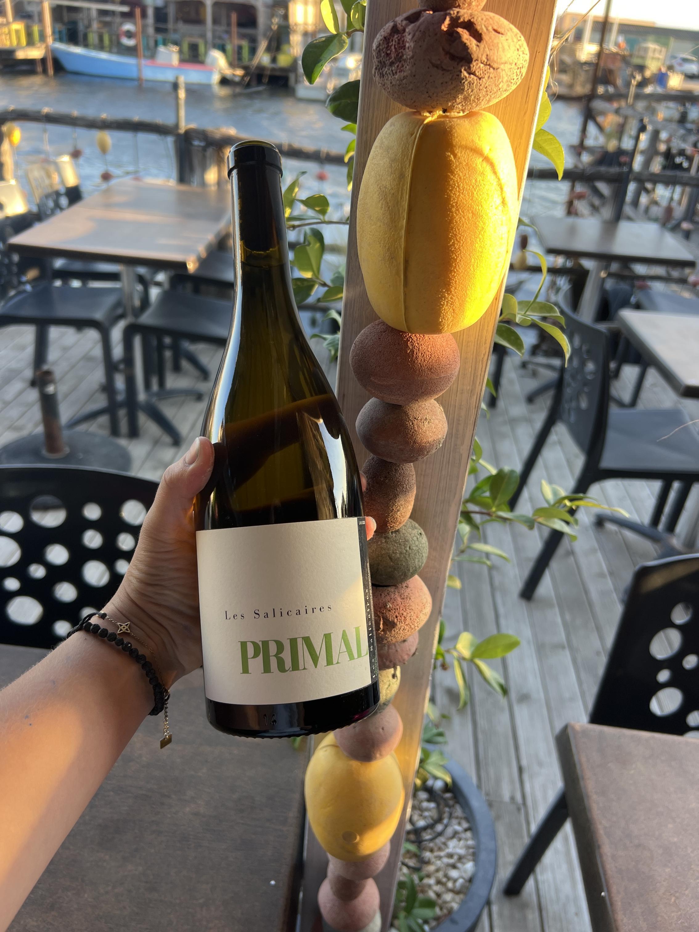 Primal - Les Salicaires - vincent-lafage 