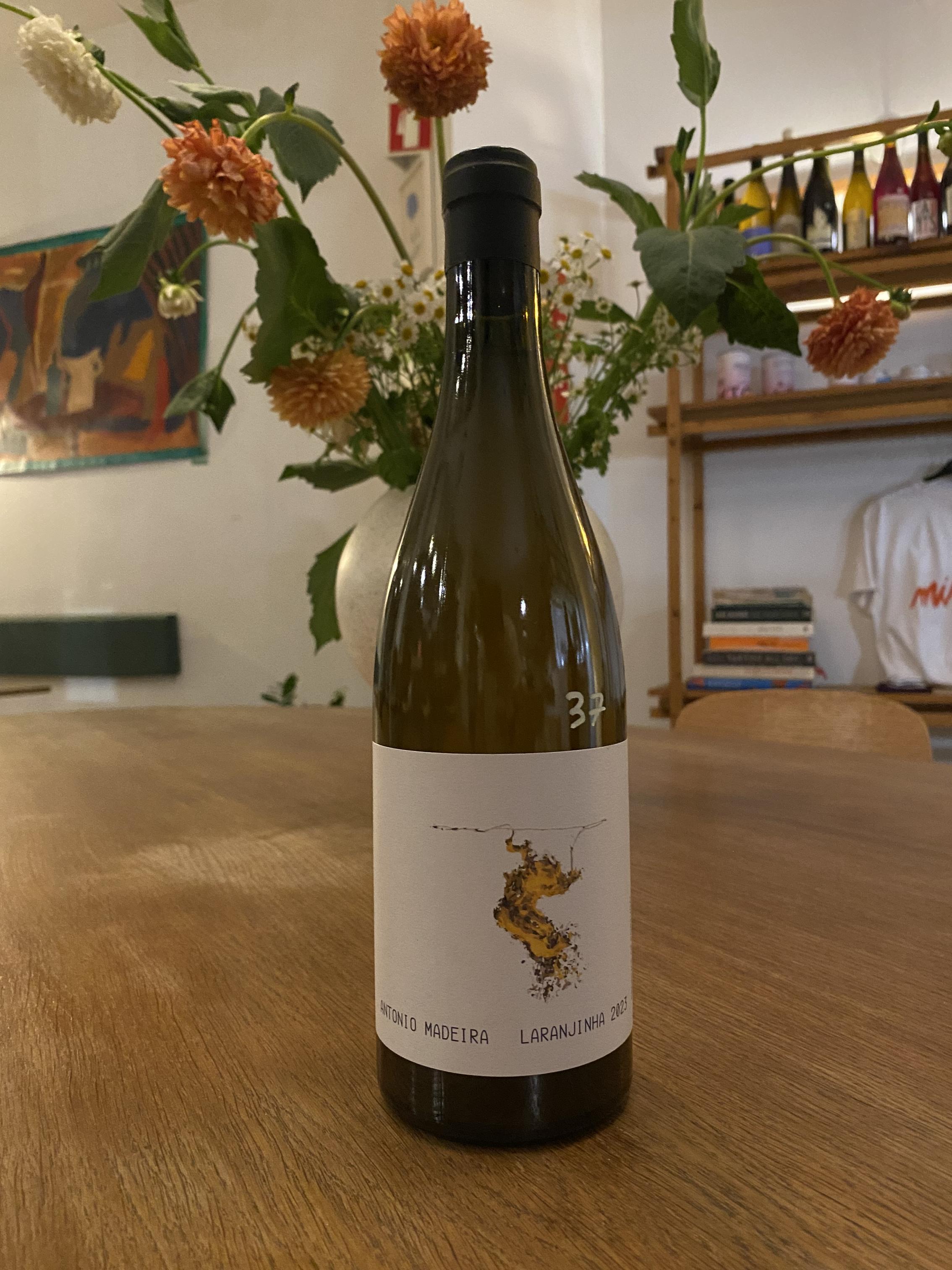 Laranjnha - António Madeira - antonio-madeira 