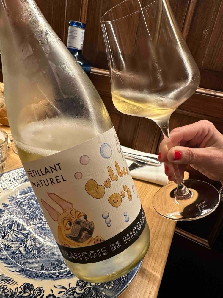 Bulles Dog - Maison François de Nicolay - francois-de-nicolay 