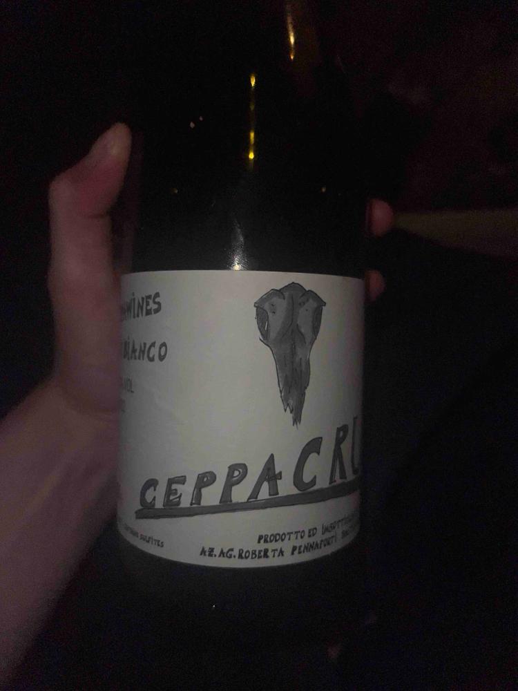 Ceppacru - Piccolo Podere del Ceppaiolo - danilo-marcucci-riccardo-pennaforti -2022