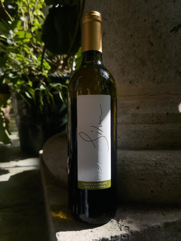 Silvana 2022 - Vinos Pijoan - silvana-pijoan -2022