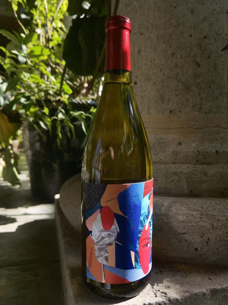 Collage Blanco - Vinos Pijoan - silvana-pijoan -2022