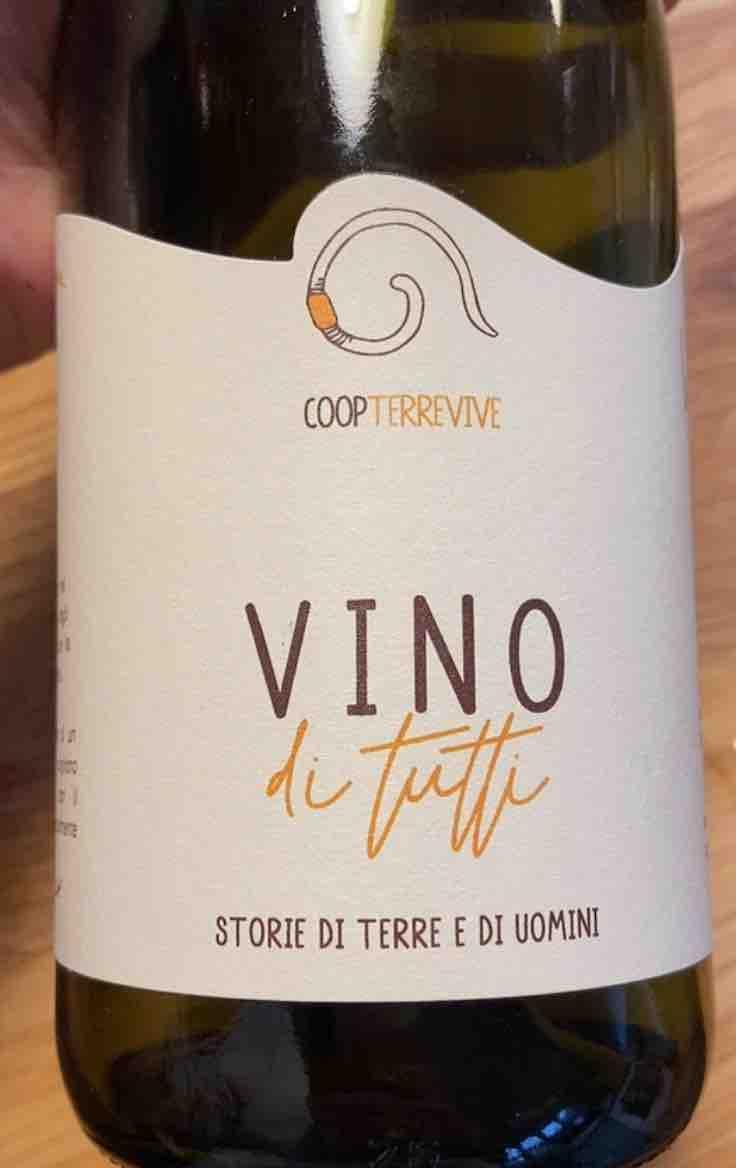 Vino di Tutti - Piemonte - gianluca-bergianti -2020