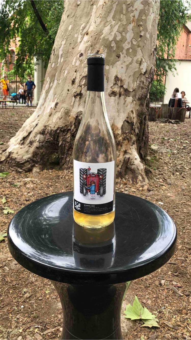 The Little Dreamer - Toscana - marta-sierota 