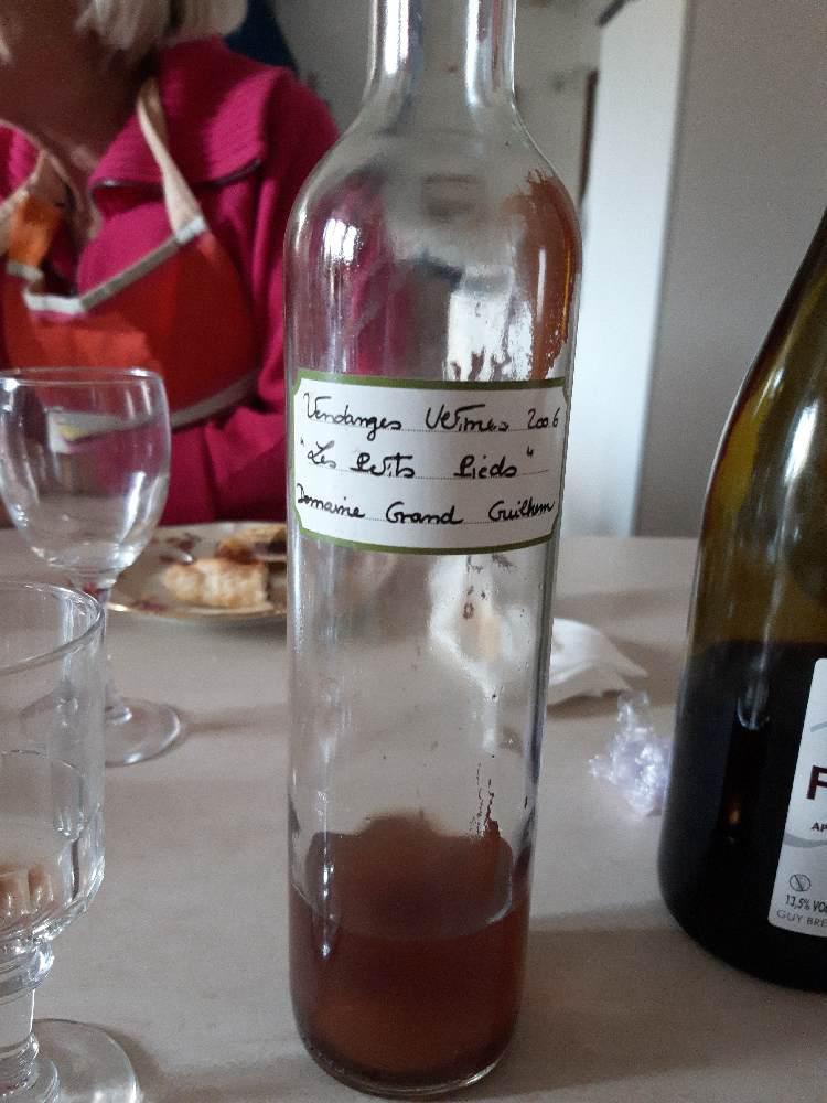 Les Petits Pieds - Domaine Grand Guilhem - severine-et-gilles-contrepois -2006