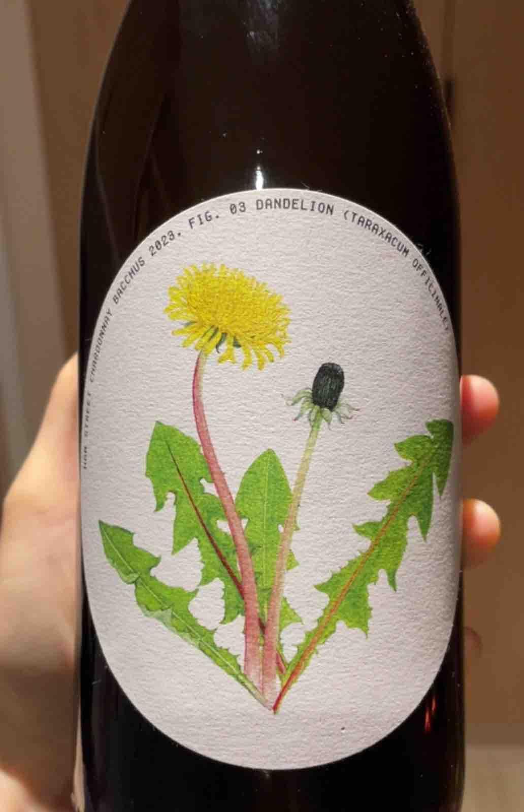 Chardonnay Bacchus - Ham Street Wines - lucie-and-jules -2023