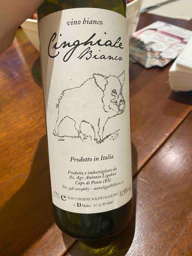 Cinghiale Bianco - Azienda Agricola Antonio Ligabue - fausto-ligabue 