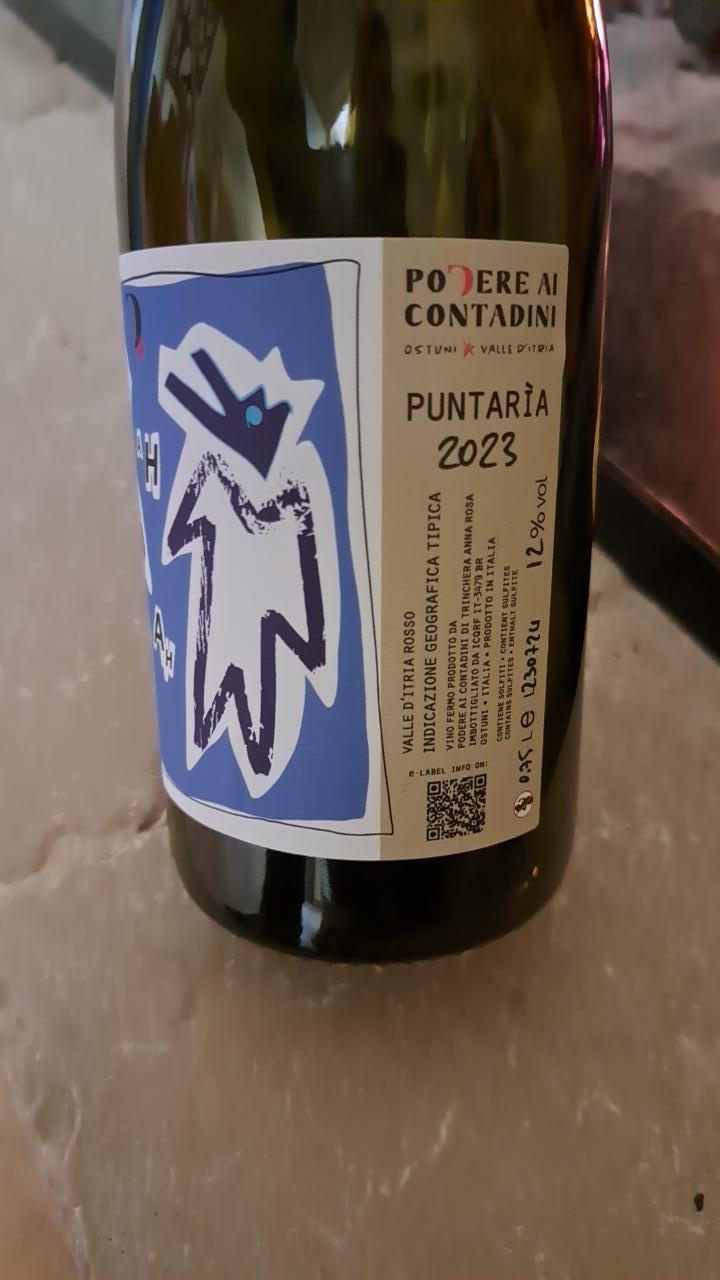 Puntaria - Podere ai Contadini - walter-iannini -2023