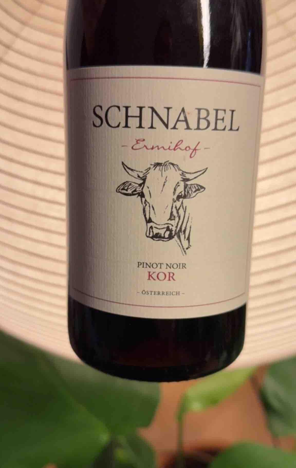 PinoNoir KOR - Weingut Karl Schnabel - karl-eva-schnabel -2021