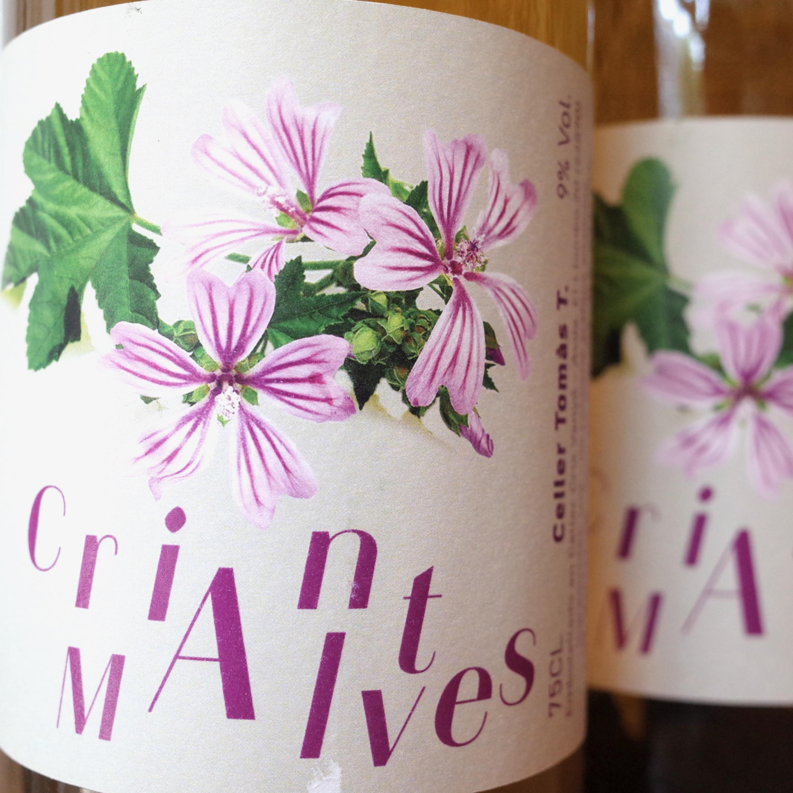 criant de malves - Celler Tomàs Torres - vicent-tomas-soler -2023