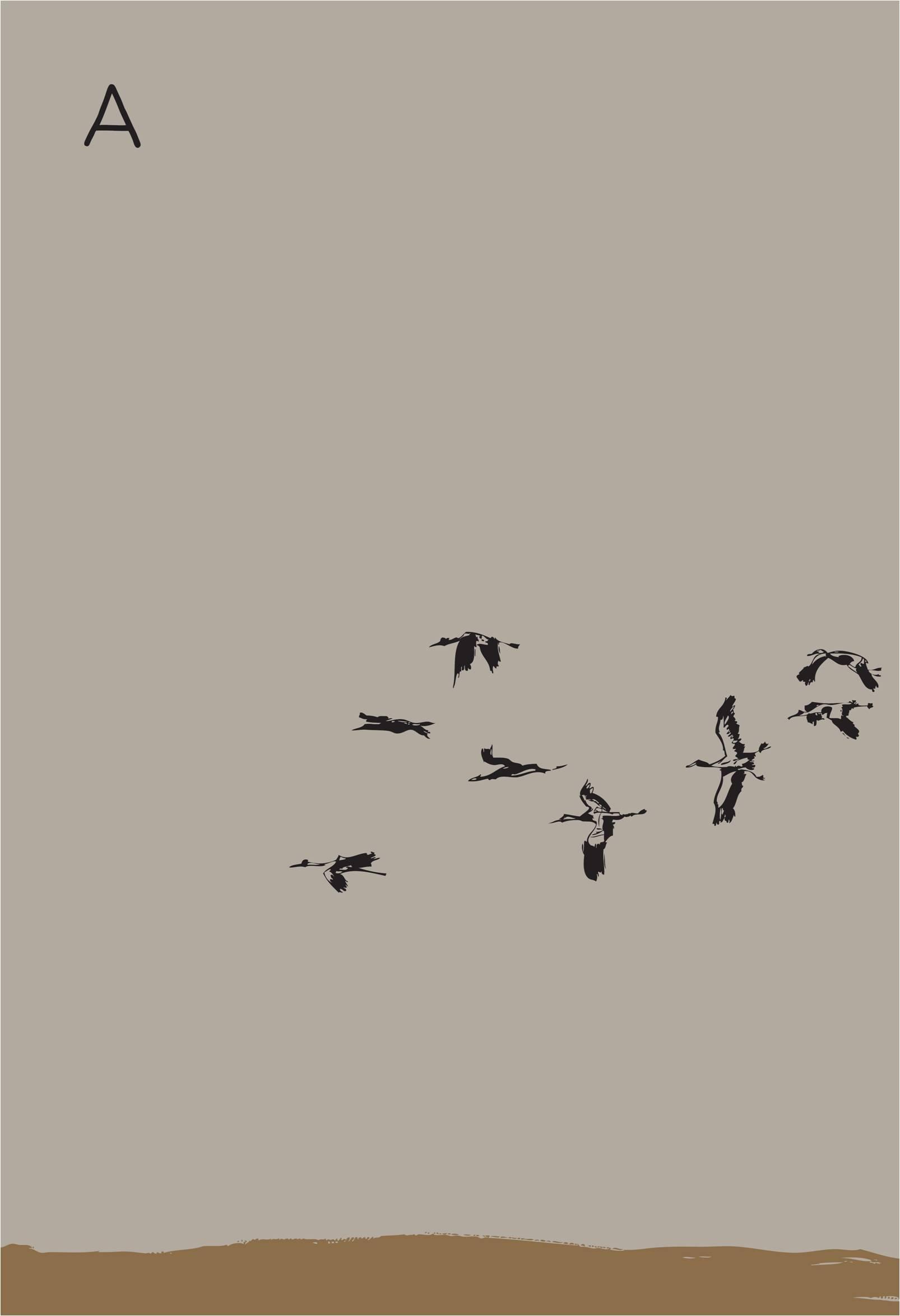 A - L'Antica Quercia - claudio-francavilla -2018