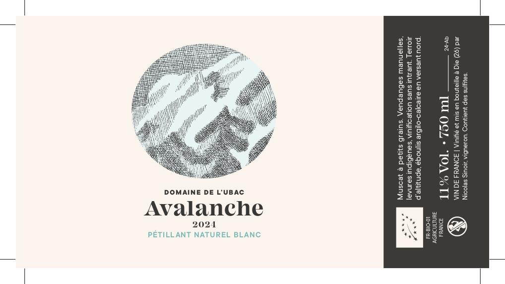 Avalanche - Domaine De L'Ubac - nicolas-sinoir -2025