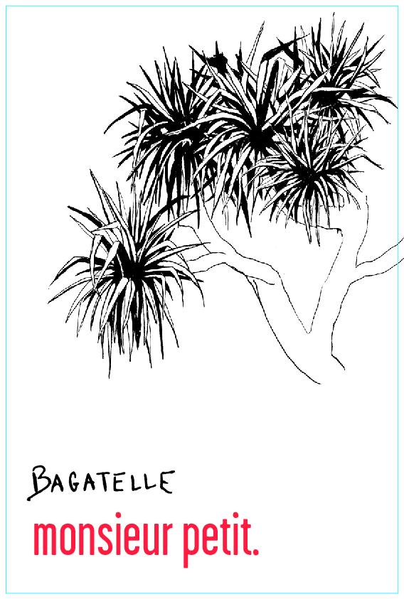 Bagatelle - La Pinarderie (ex Le Petit Domaine) - aurelien-petit 