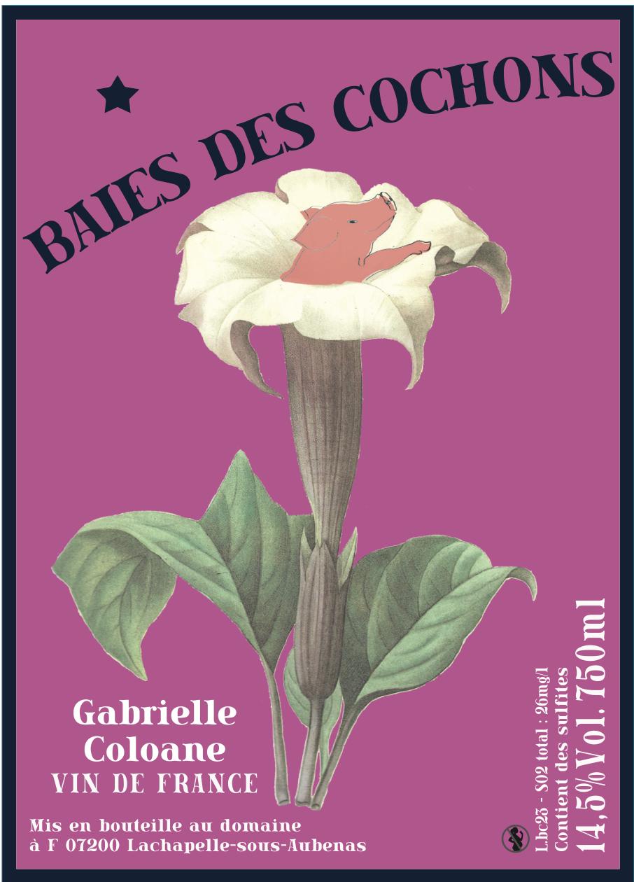 Baies des Cochons - Coloane Gabrielle - coloane-silva-gabrielle 