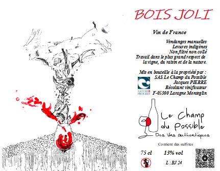 BOIS JOLI - Le Champ Du Possible - jacques-pierre -2024