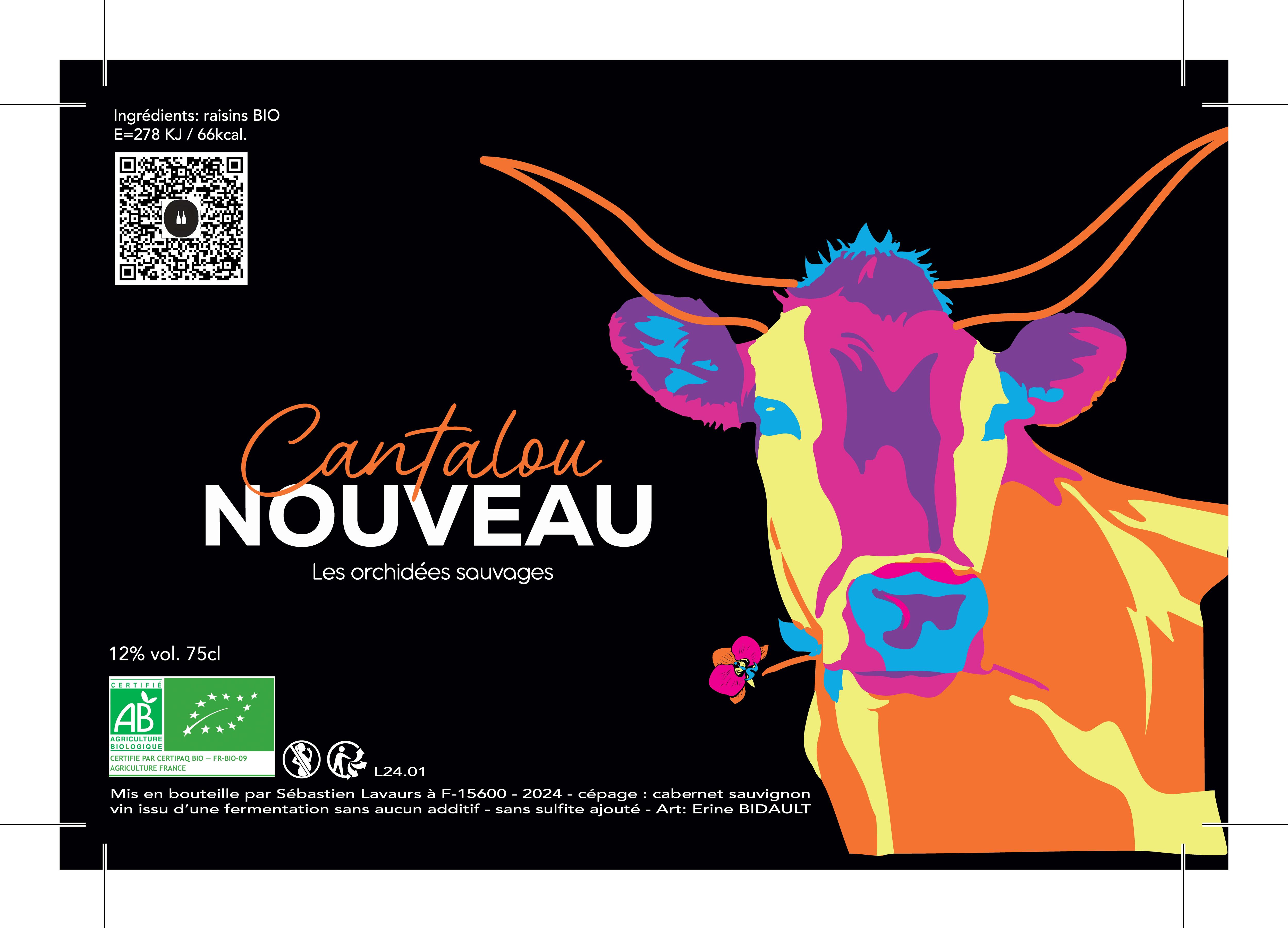 Cantalou nouveau - Les Orchidées Sauvages - sebastien-lavaurs -2022