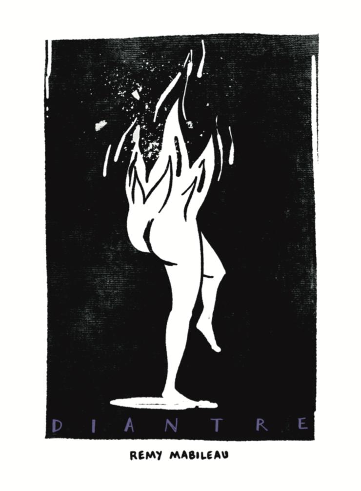 Diantre - Domaine Frédéric Mabileau - remy-mabileau 