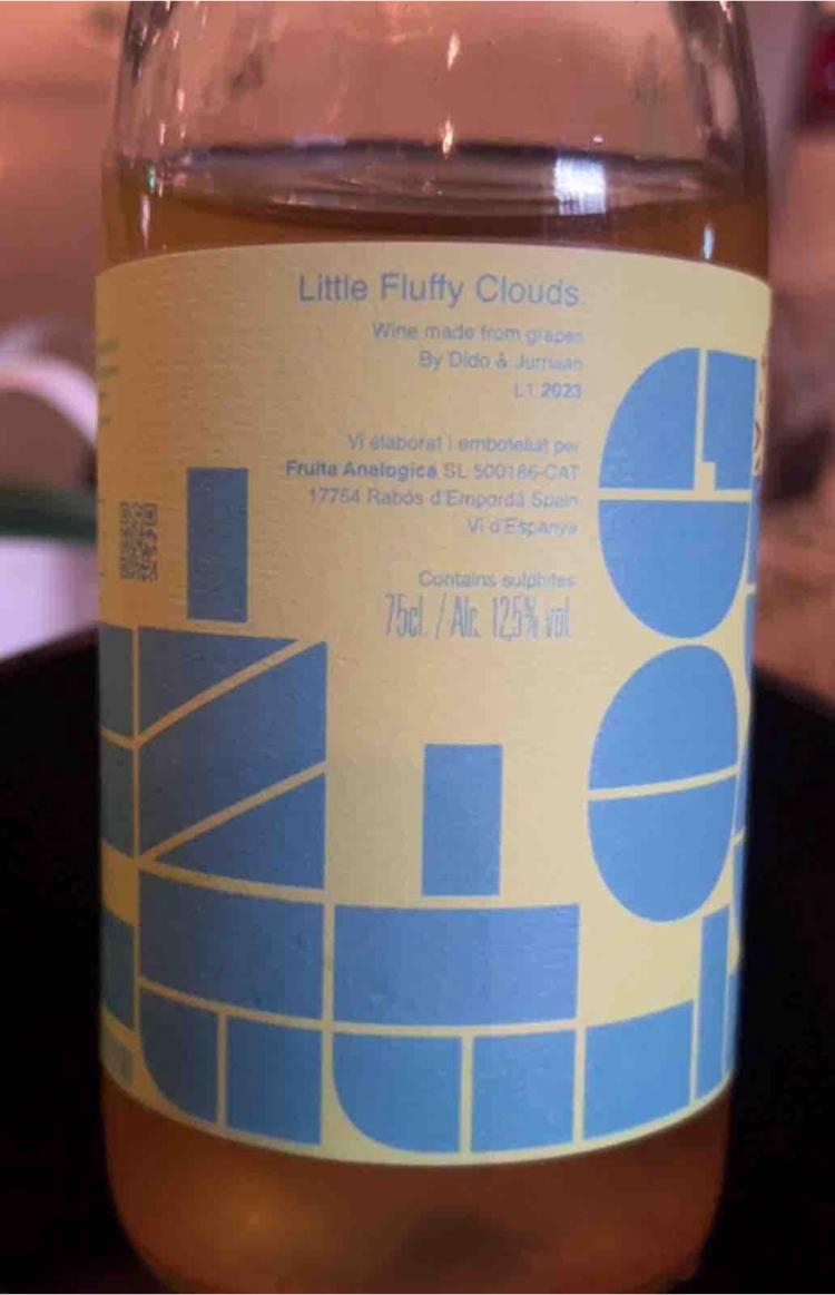 Dido & Jurriaan - Fruita Analogica - dido-jurriaan -2023