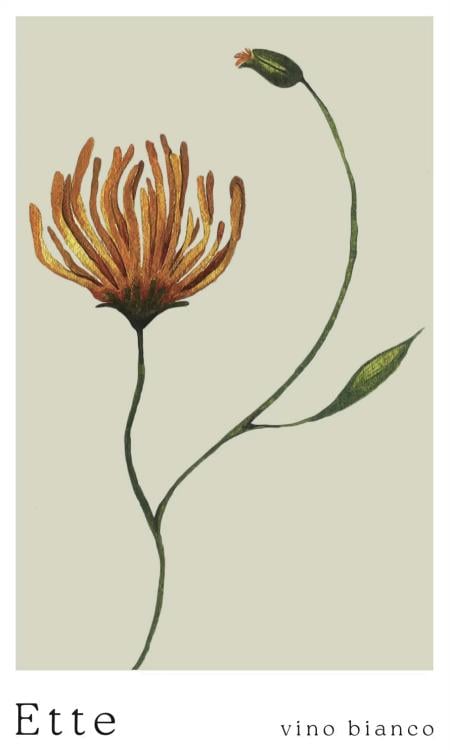 Ette Second Edition - Azienda Agricola Summer Wolff - summer-wolff-9w 