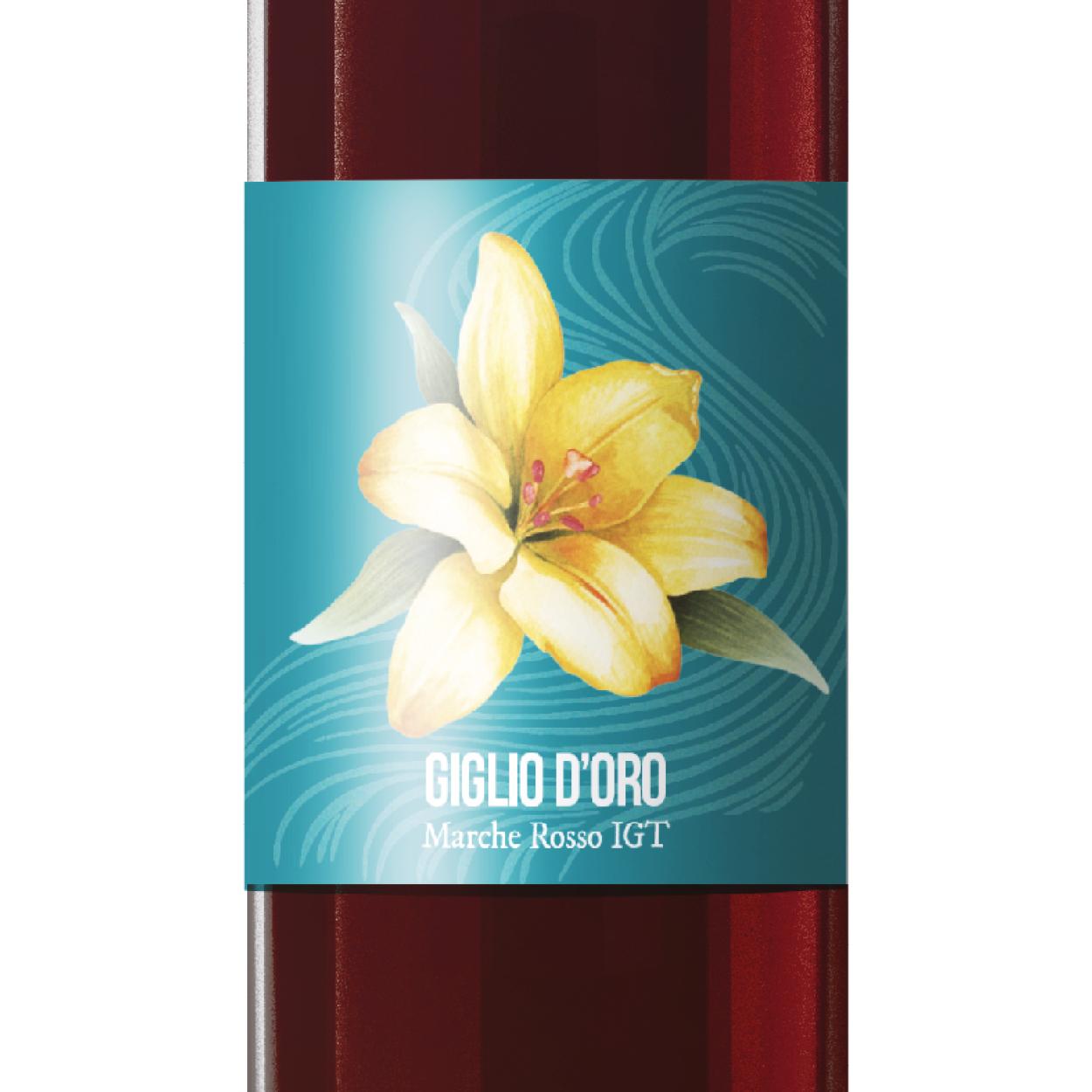 Giglio d'oro - Agricola Arzilla - shayle-lambie-shaw -2023