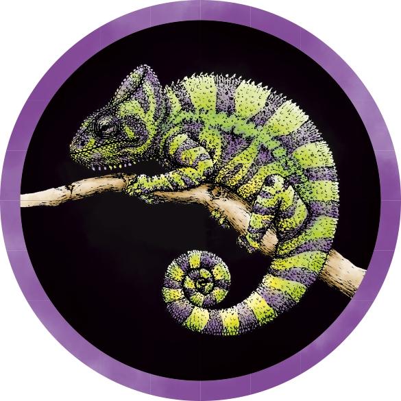 Grauburgunder - Chamäleon-Wein Konrad - nora-konrad 