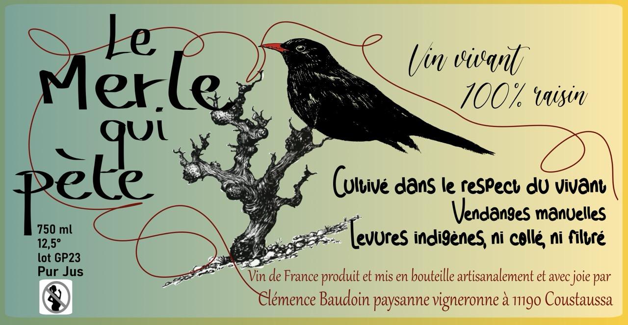 Le Merle qui Pète - Les Fleurs Jaunes - marc-sanchez-toha-clemence-baudoin-qz 