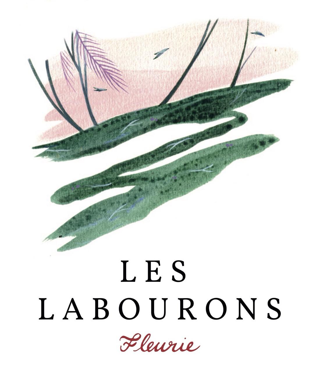 Les Labourons - Domaine Les Volets Rouges - antoine-vettes-marie-aslanian 