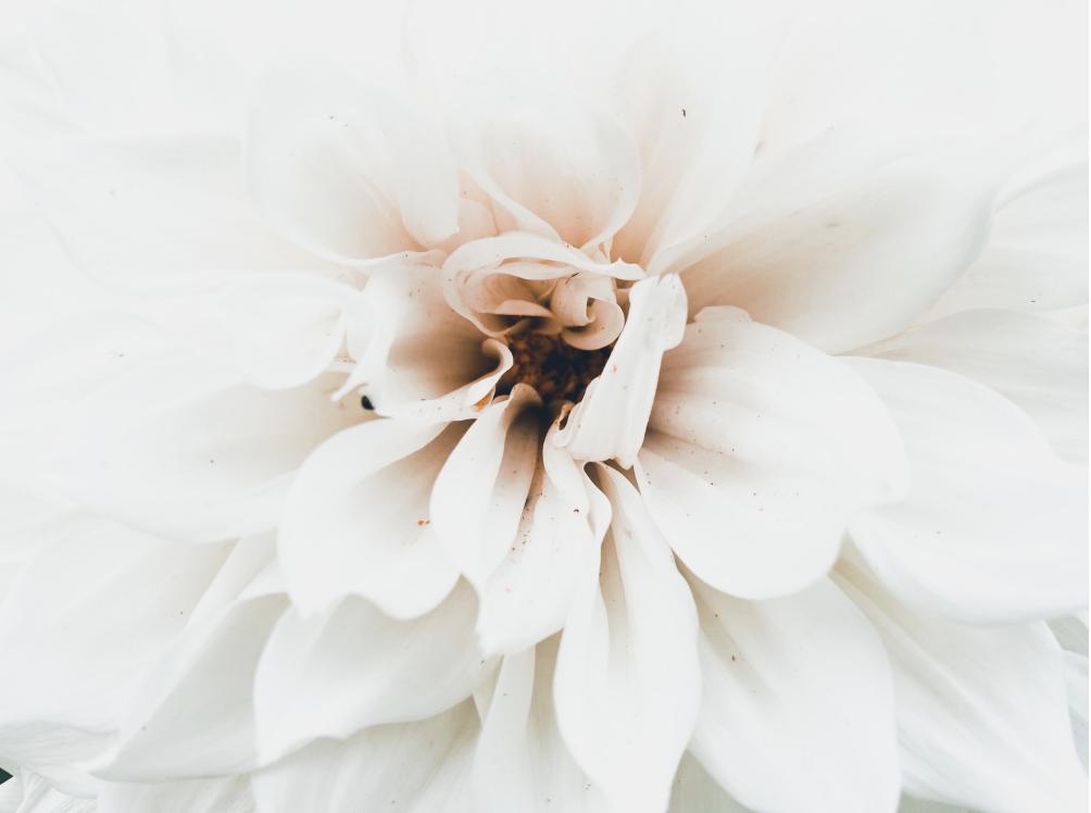 Pet’nat Rose - Domaine De Berguerolles - mathieu-manifacier -2021