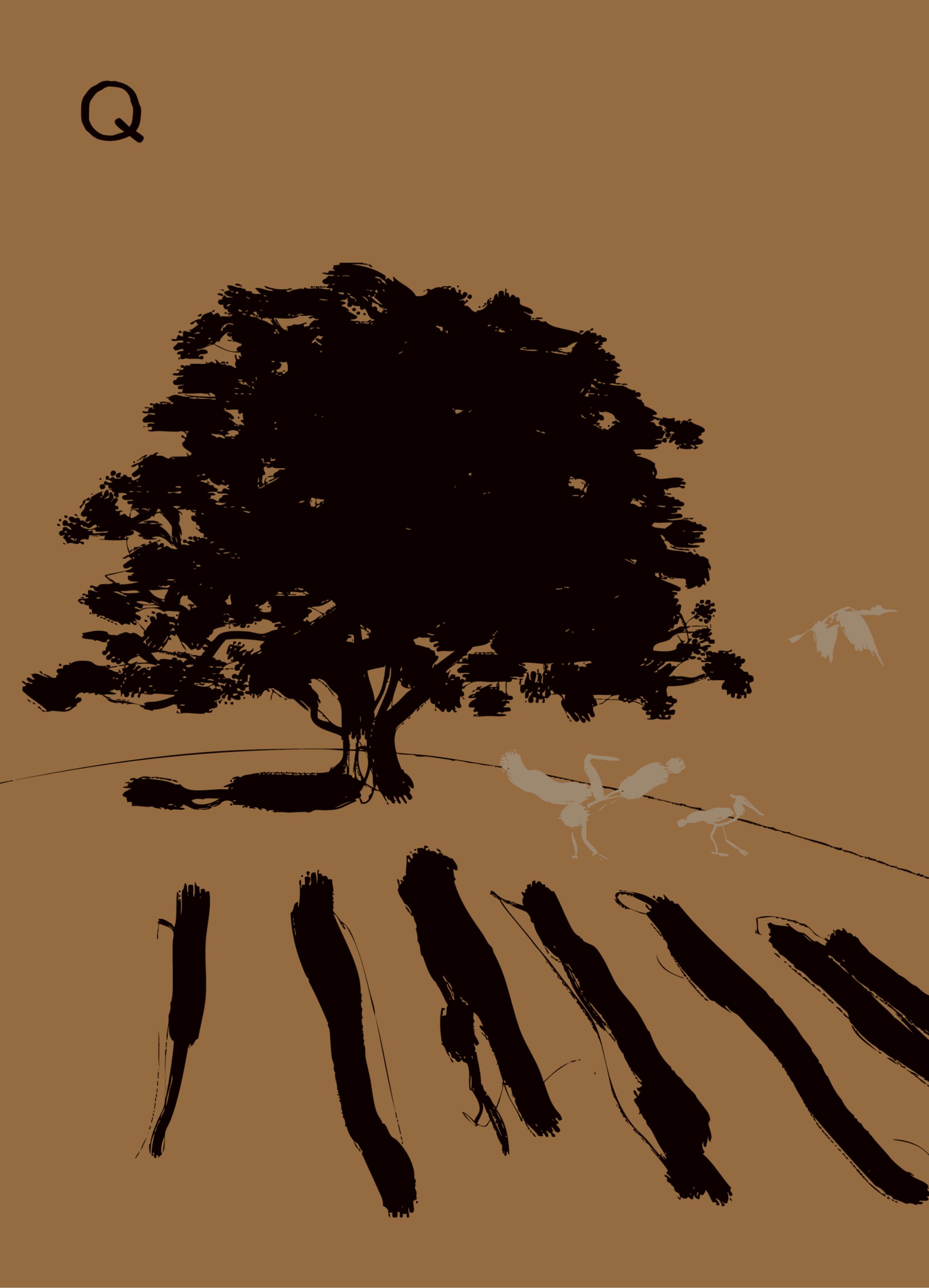 Q - L'Antica Quercia - claudio-francavilla 