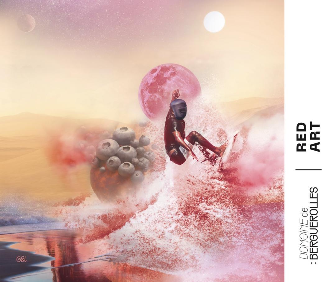 Red Art - Domaine De Berguerolles - mathieu-manifacier 