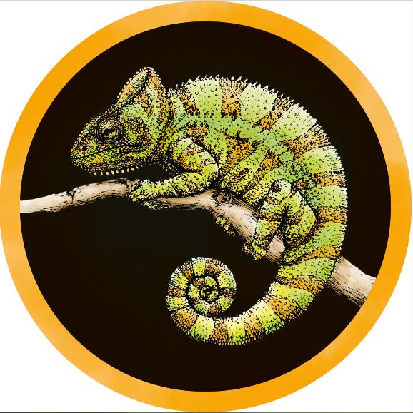 Riesling - Chamäleon-Wein Konrad - nora-konrad 