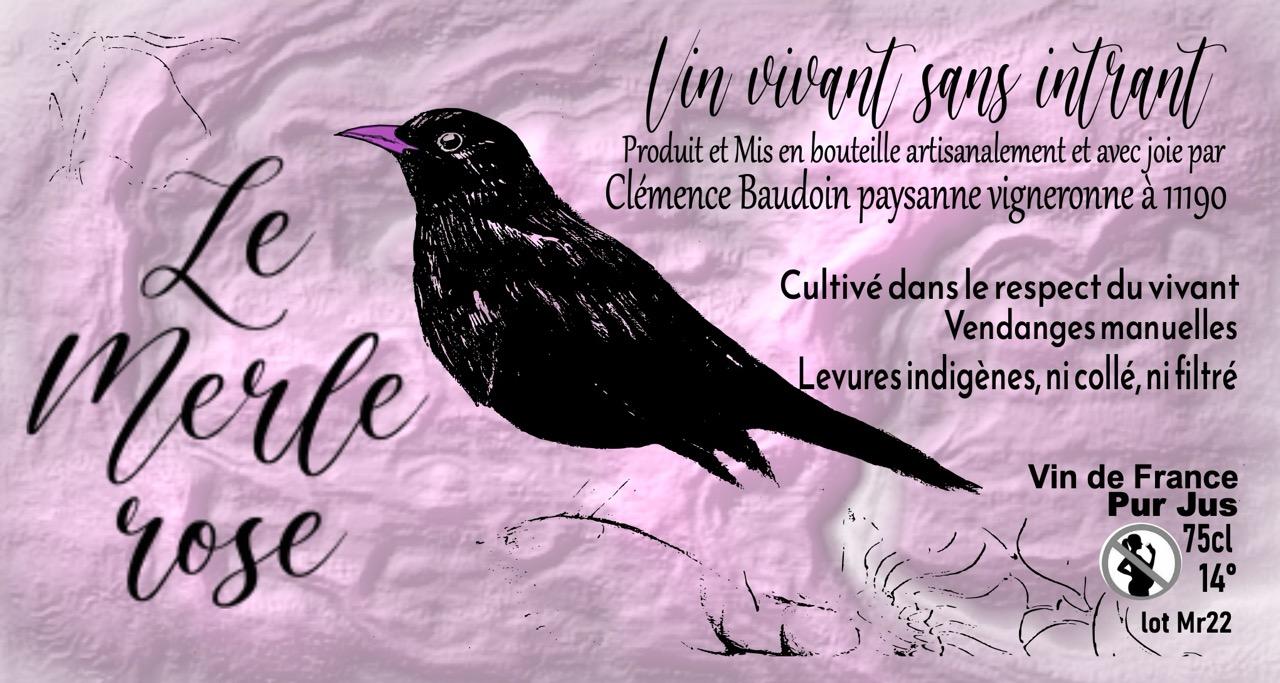 Le Merle Rose - Les Fleurs Jaunes - marc-sanchez-toha-clemence-baudoin-qz 