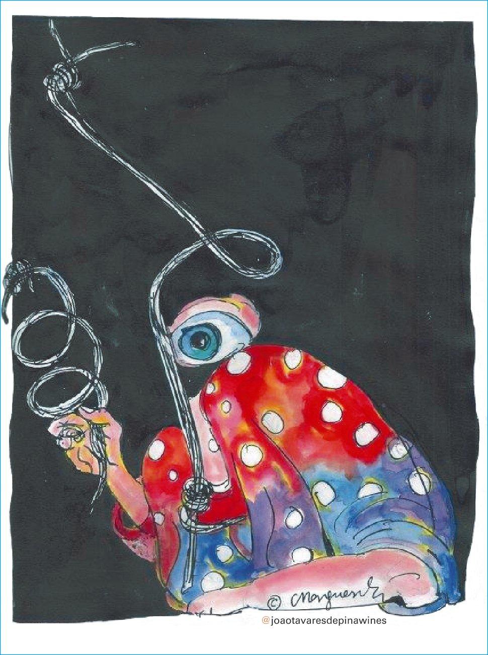 Turbilhão Pet Nat - Quinta da Boavista - Terras de Tavares - joao-tavares-de-pina -2024