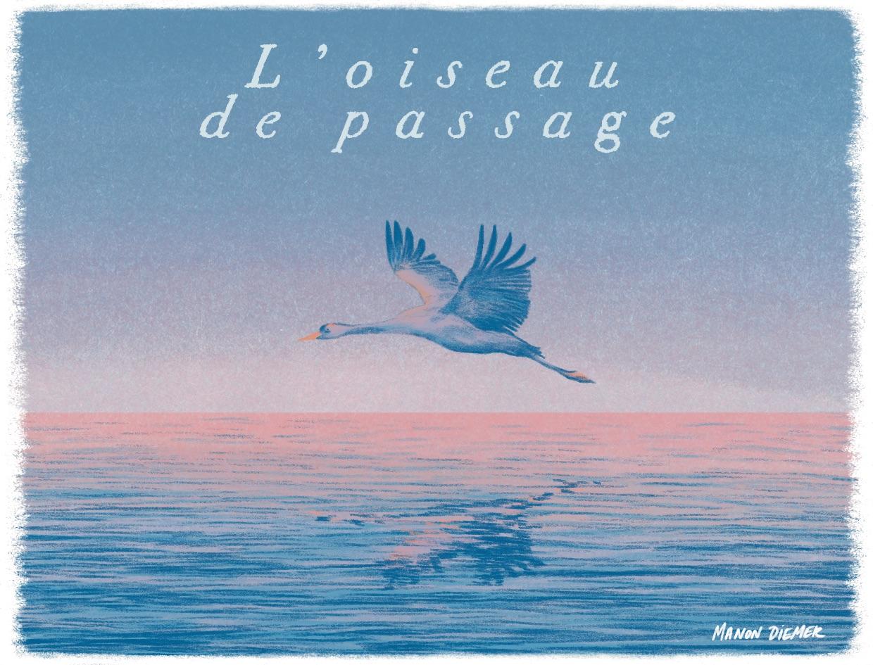 Saint-Véran Le Petit Clos - L'oiseau De Passage - julien-frappa -2024
