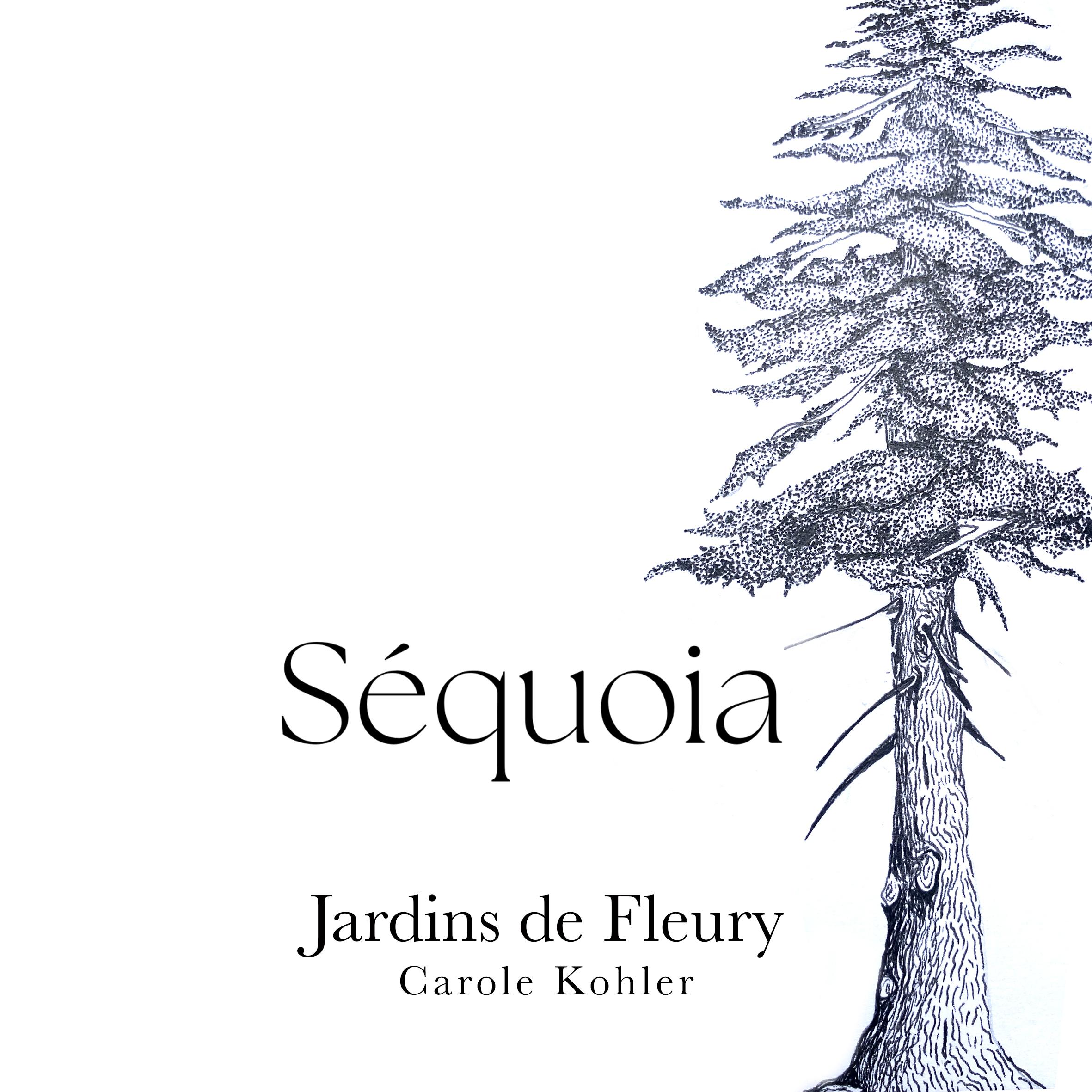 Séquoia 75cl - Jardins de Fleury - carole-kohler 