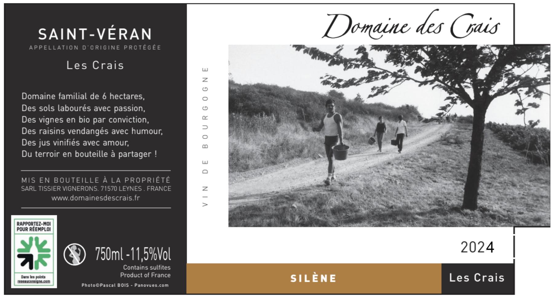 SILENE - Domaine Des Crais - ben-et-andrea-vauchez-tissier -2024