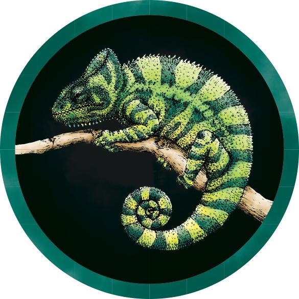 Silvaner - Chamäleon-Wein Konrad - nora-konrad 