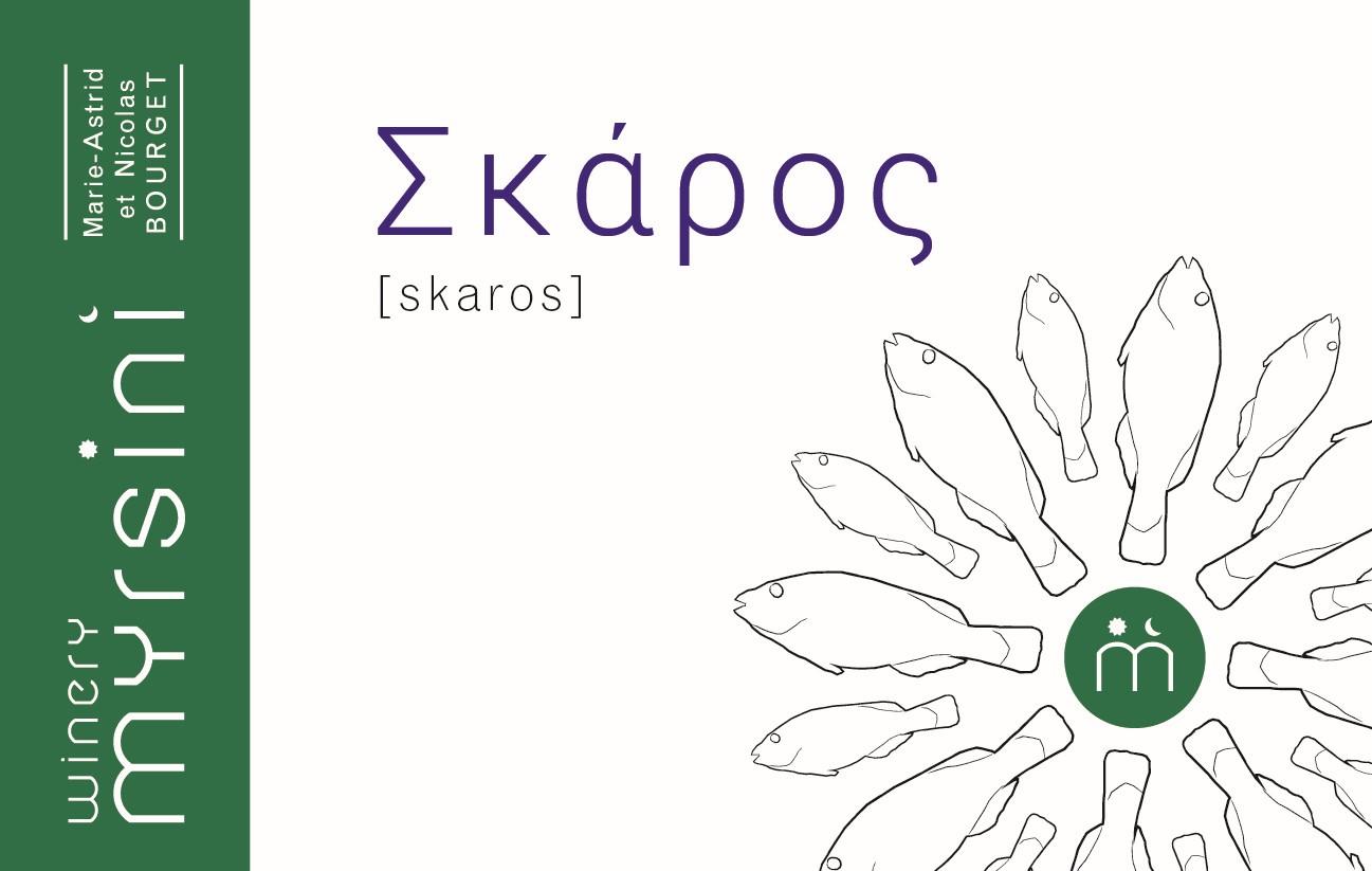 Σκάρος - Myrsini Winery - marie-astrid-nicolas-bourget -2024