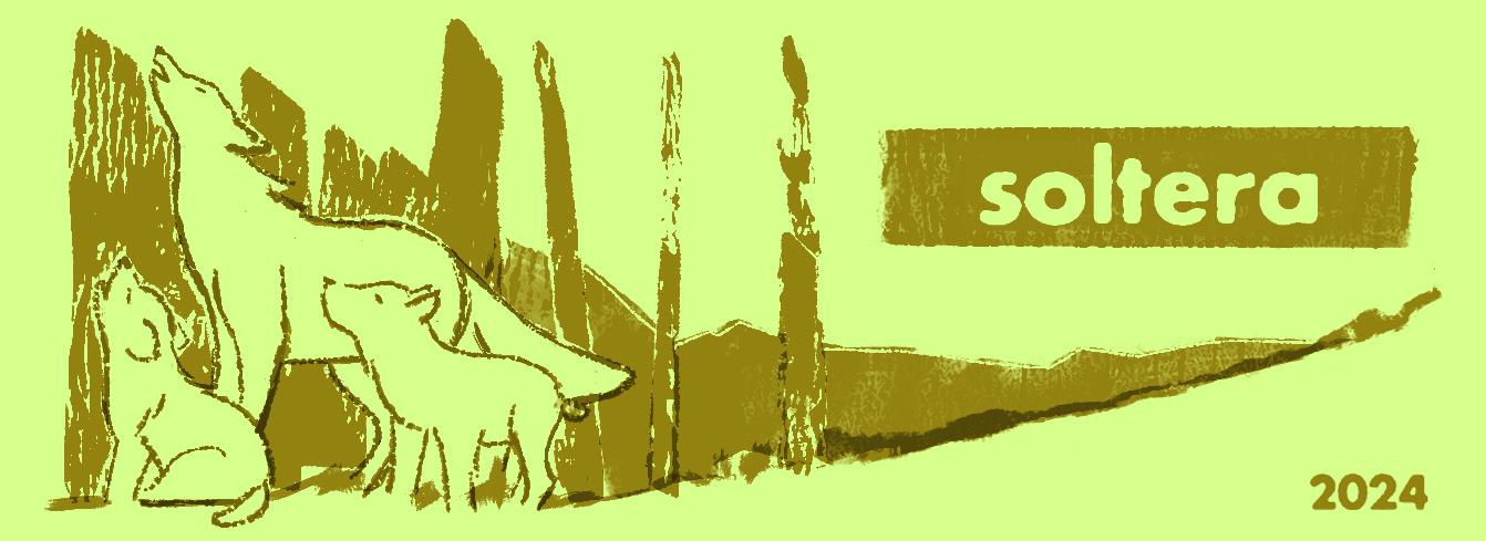 Soltera - La Forastera - matthias-van-der-sluis -2024